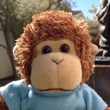 Bob T. Monkey
